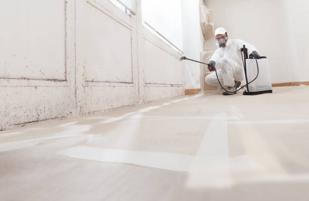 24/7 Emergency Mold Remediation experts in Richland, GA
